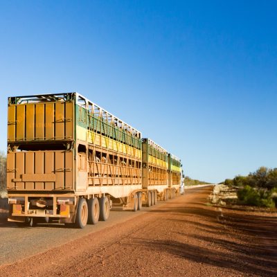 Gemtree, Australia - July 6 2015: An iconic 3 trailer Australian road train travels along the Plenty Hwy near Gemtree in Northern Territory, Australia
